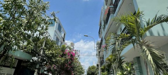 350m² Townhouse in District 7, Vietnam No. 15832 2