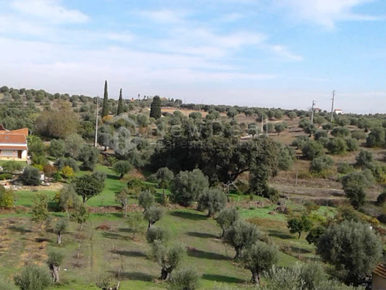 20600m² Land in Torres Novas, Portugal No. 264732