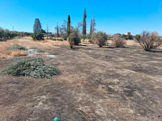 3500m² Land in Cullar Vega, Spain No. 240046