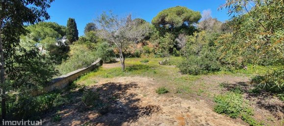 6 chambres Maison à Albufeira, Portugal No. 112387 12