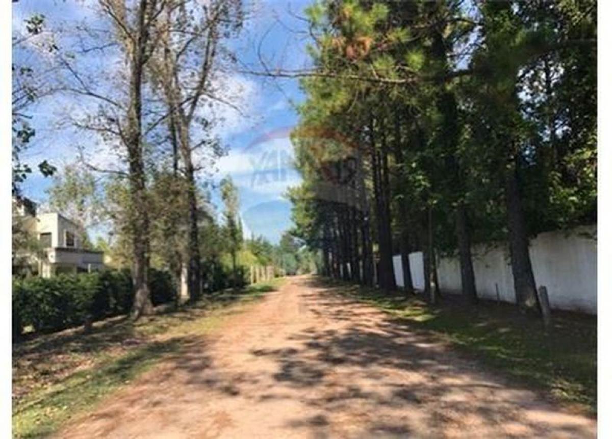 Terrain à Moreno, Argentina No. 43805