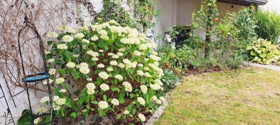 Дом с 9 комнатами в Герцогенбург, Австрия № 129603 12