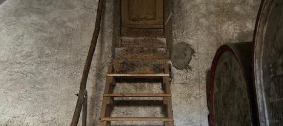 14 rooms House in Polpenazze del Garda, Italy No. 109107 50