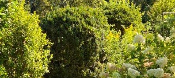 4 rooms House in Golling an der Salzach, Austria No. 250018 9