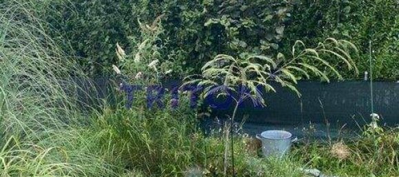 2-Zimmer Bungalow in Neufeld an der Leitha, Austria, Nr. 142915 24