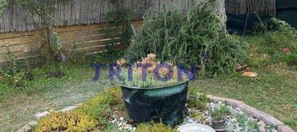 2-Zimmer Bungalow in Neufeld an der Leitha, Austria, Nr. 142915 23