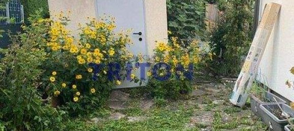 2-Zimmer Bungalow in Neufeld an der Leitha, Austria, Nr. 142915 20