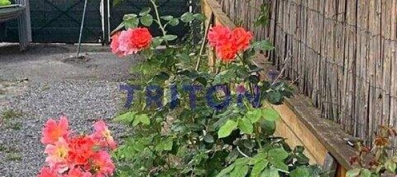 2-Zimmer Bungalow in Neufeld an der Leitha, Austria, Nr. 142915 34