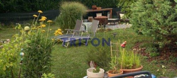 2-Zimmer Bungalow in Neufeld an der Leitha, Austria, Nr. 142915 22