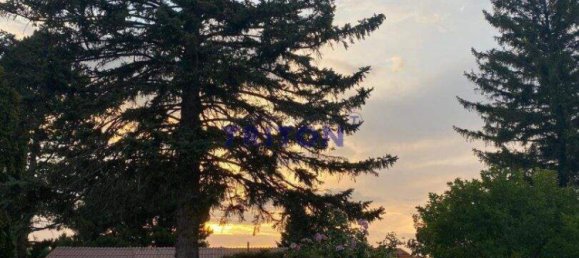 2-Zimmer Bungalow in Neufeld an der Leitha, Austria, Nr. 142915 18