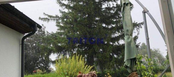 2-Zimmer Bungalow in Neufeld an der Leitha, Austria, Nr. 142915 6