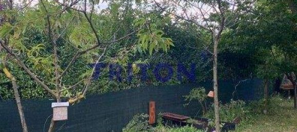 2-Zimmer Bungalow in Neufeld an der Leitha, Austria, Nr. 142915 27