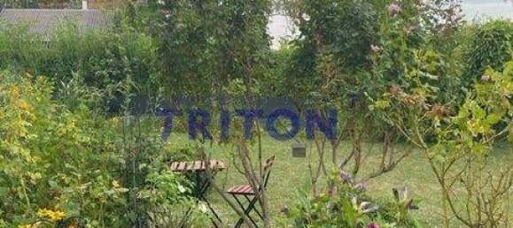 2-Zimmer Bungalow in Neufeld an der Leitha, Austria, Nr. 142915 29