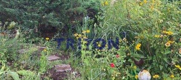 2-Zimmer Bungalow in Neufeld an der Leitha, Austria, Nr. 142915 28