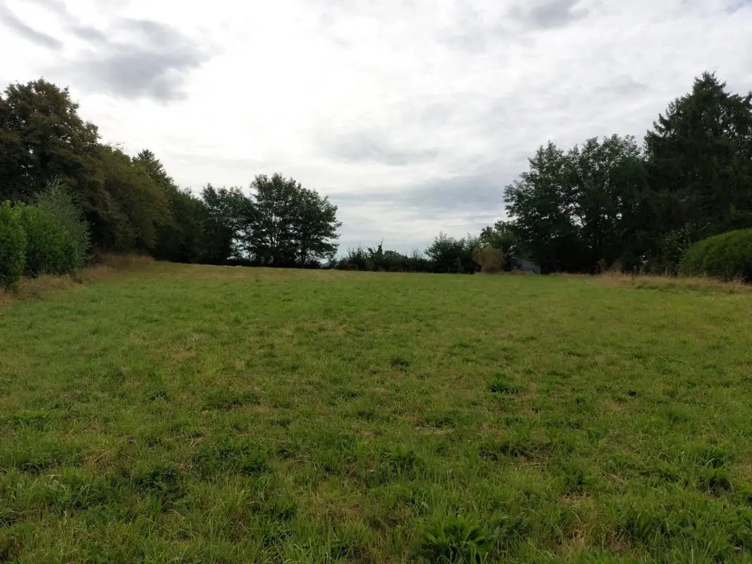 3560m² Land in Boussac, France No. 97187