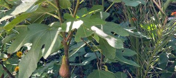 Casa de 2 dormitorios en Vienna, Austria No. 225417 24