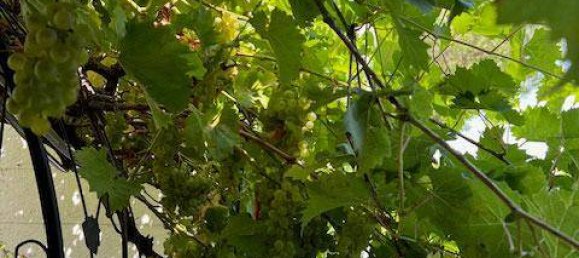 Casa de 2 dormitorios en Vienna, Austria No. 225417 43