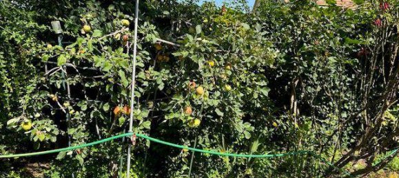 Casa de 2 dormitorios en Vienna, Austria No. 225417 31