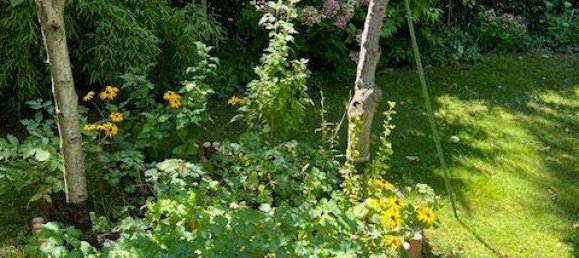 Casa de 2 dormitorios en Vienna, Austria No. 225417 36