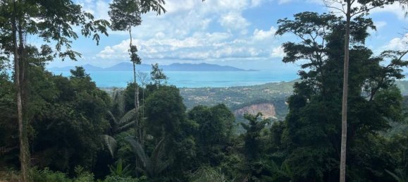 6 Schlafzimmer Villa in Ko Samui, Thailand, Nr. 63126 3