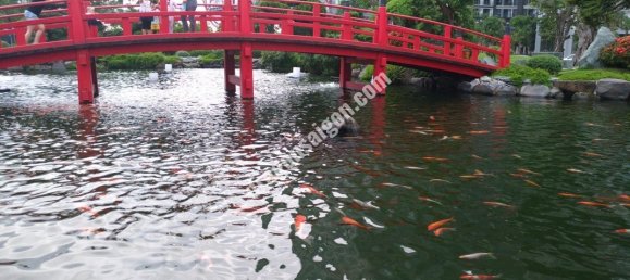 140m² Apartment in Binh Thanh, Vietnam No. 10702 17