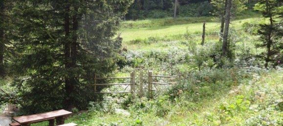 4-salle Maison à Stadl-Predlitz, Austria No. 200503 13