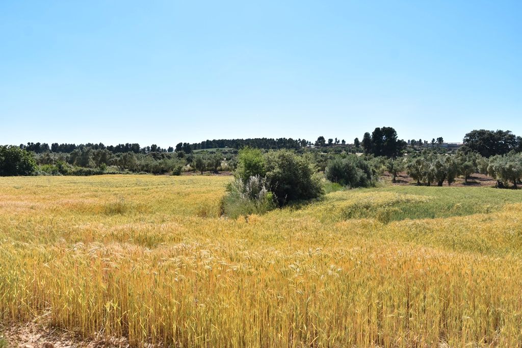 Grundstück in Teruel, Spain 13952m², Nr. 241279