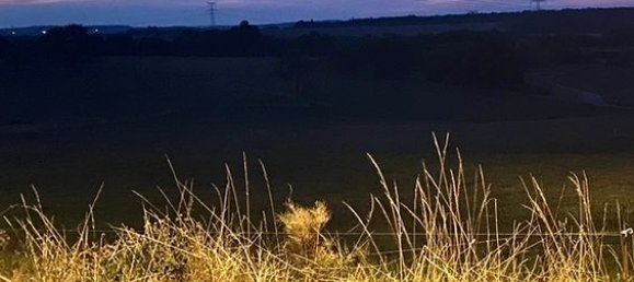 1374m² Land in Saint-Louis, France No. 93958 7