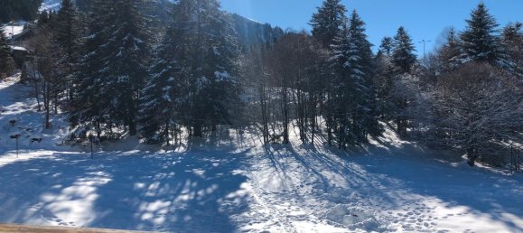 Studio in Haute-Garonne, France No. 316121 3