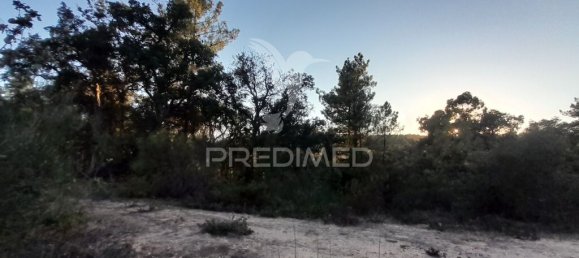 Земельный участок 30880м² в Сарзедаш, Португалия № 90677 17