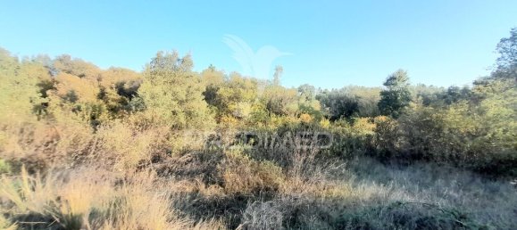 Земельный участок 30880м² в Сарзедаш, Португалия № 90677 15