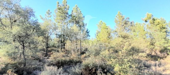 Земельный участок 30880м² в Сарзедаш, Португалия № 90677 7