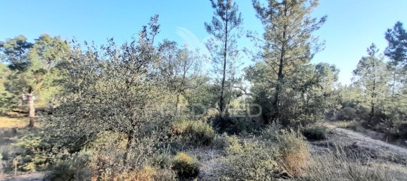 Земельный участок 30880м² в Сарзедаш, Португалия № 90677 2