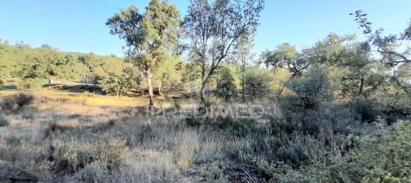 Земельный участок 30880м² в Сарзедаш, Португалия № 90677 3