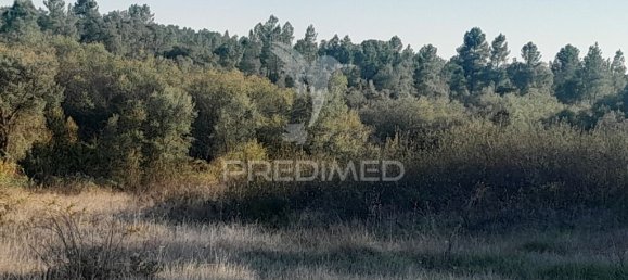 Земельный участок 30880м² в Сарзедаш, Португалия № 90677 12