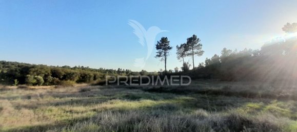 Земельный участок 30880м² в Сарзедаш, Португалия № 90677 13