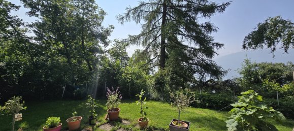 4 bedrooms House in Saviese, Switzerland No. 157 15