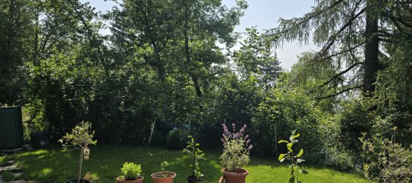 4 bedrooms House in Saviese, Switzerland No. 157 28