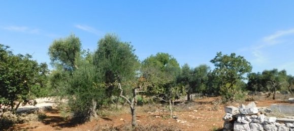 2 bedrooms House in Ceglie Messapica, Italy No. 148603 13