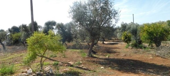 2 bedrooms House in Ceglie Messapica, Italy No. 148603 22