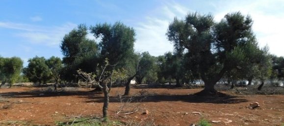 2 bedrooms House in Ceglie Messapica, Italy No. 148603 15