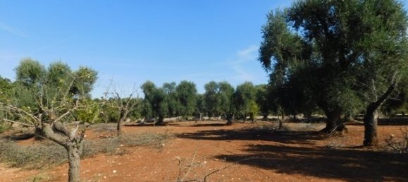 2 bedrooms House in Ceglie Messapica, Italy No. 148603 16