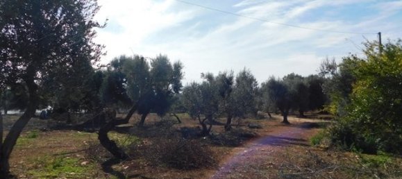 2 bedrooms House in Ceglie Messapica, Italy No. 148603 23