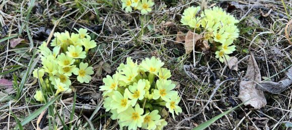 Casa de 7 divisões em Lockenhaus, Austria N.º 203012 26