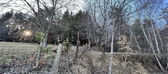 Casa de 7 divisões em Lockenhaus, Austria N.º 203012 36