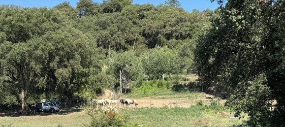 6 bedrooms House in Santa-Lucia-di-Moriani, France No. 265897 3