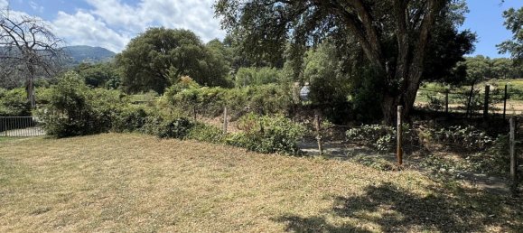 6 bedrooms House in Santa-Lucia-di-Moriani, France No. 265897 29