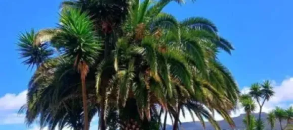 3 Schlafzimmer Wohnung in Lugo, Spain, Nr. 183803 17