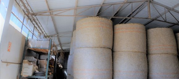 8غرفة منزل في Ardea, Italy رقم 32627 20