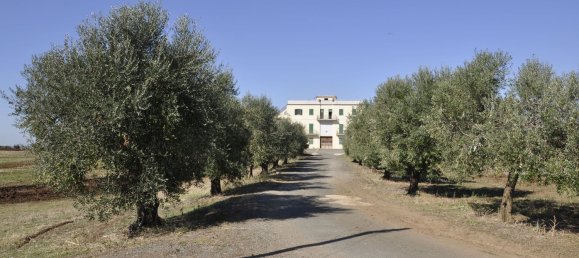 8غرفة منزل في Ardea, Italy رقم 32627 30